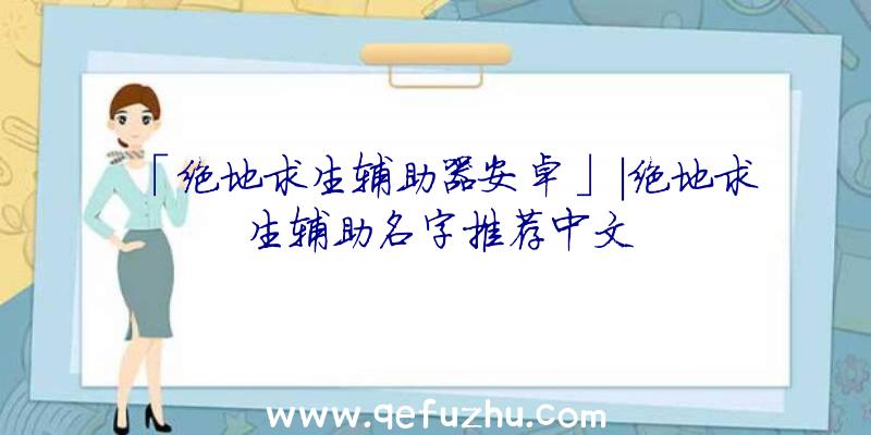 「绝地求生辅助器安卓」|绝地求生辅助名字推荐中文